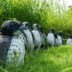 Jungle Trail Noida park made from 4000 tons of scrap.